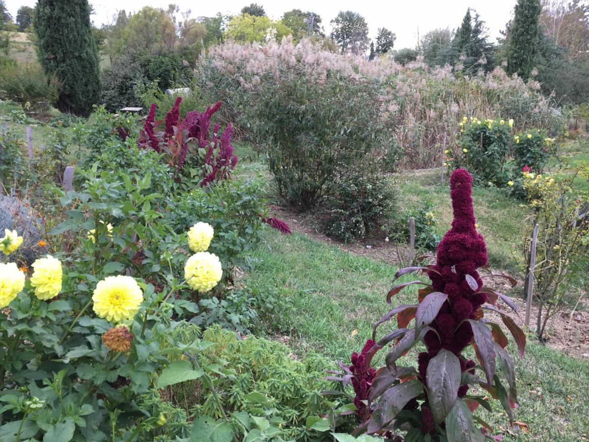 La Source, Vegetarian Guest House Chabeuil Zewnętrze zdjęcie